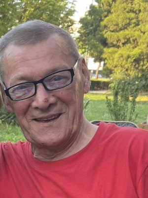Fotografija osobe Asim Begić